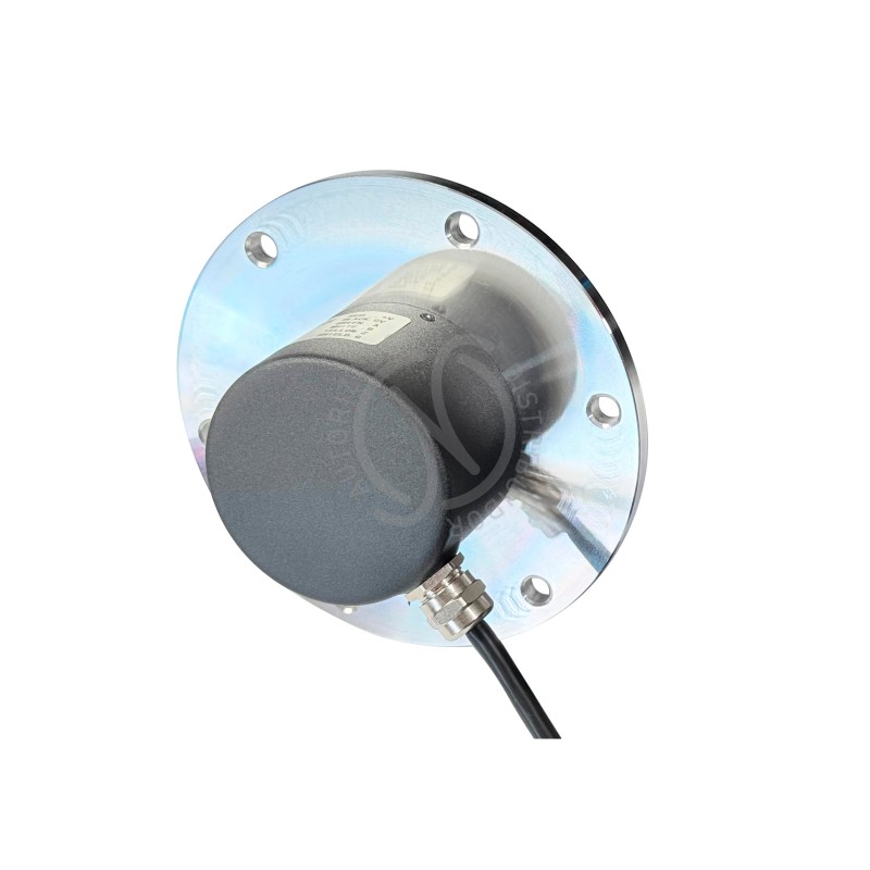 M115SA-11-2048-3-P-30-G - Imagen 2